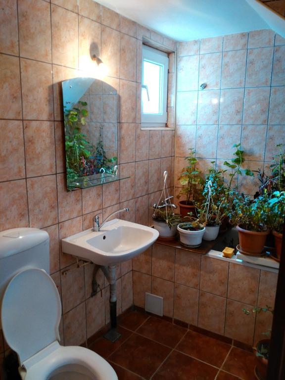 Vila Marcela Buşteni Habitación foto