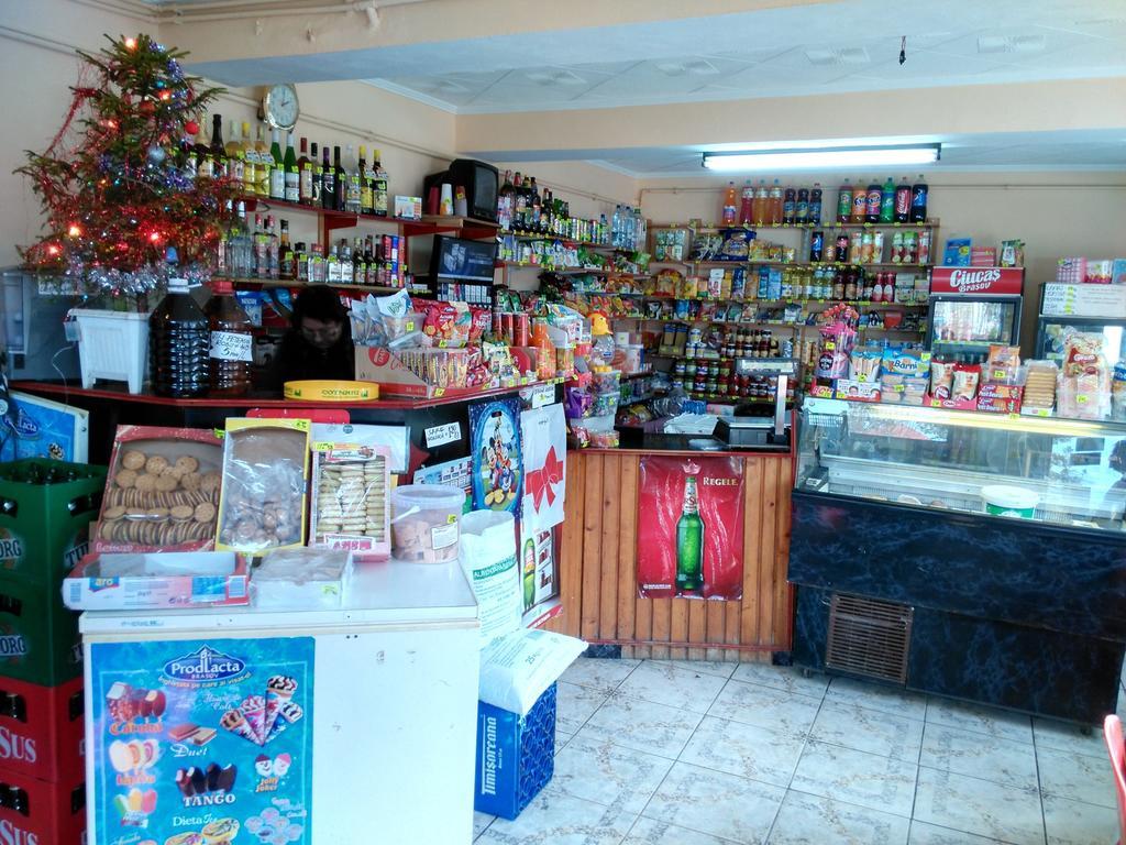 Vila Marcela Buşteni Habitación foto