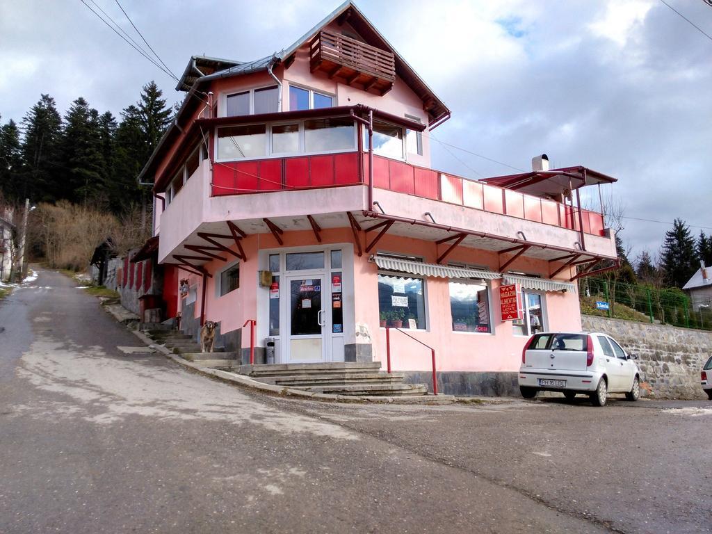 Vila Marcela Buşteni Exterior foto